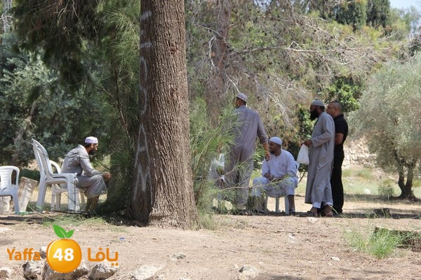 sa7abuy or9 (32).JPG